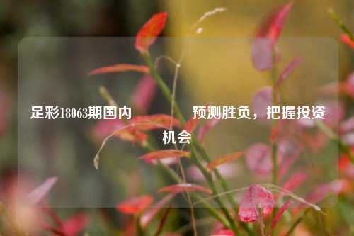 足彩18063期国内🏆预测胜负，把握投资机会