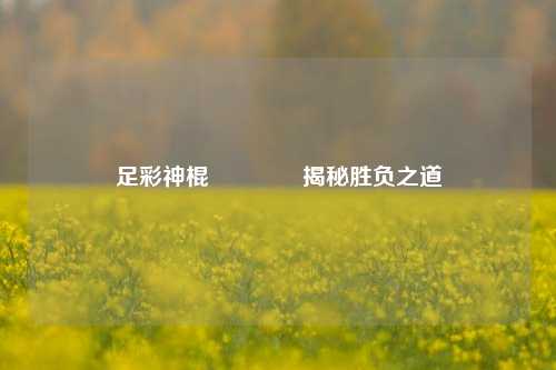 足彩神棍🥉揭秘胜负之道