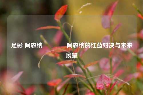足彩 阿森纳🥈阿森纳的红蓝对决与未来展望