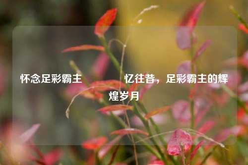 怀念足彩霸主🌈忆往昔，足彩霸主的辉煌岁月