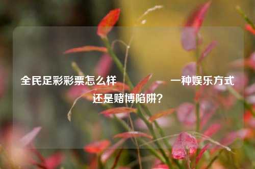 全民足彩彩票怎么样🎖️一种娱乐方式还是赌博陷阱？