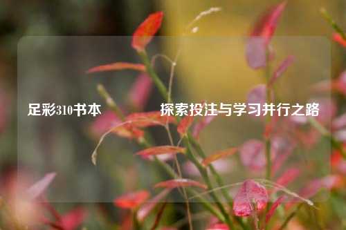 足彩310书本👍探索投注与学习并行之路