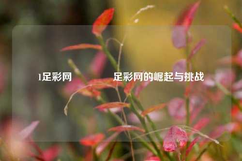 1足彩网🏅足彩网的崛起与挑战