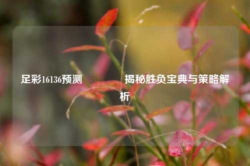足彩16136预测🏅揭秘胜负宝典与策略解析