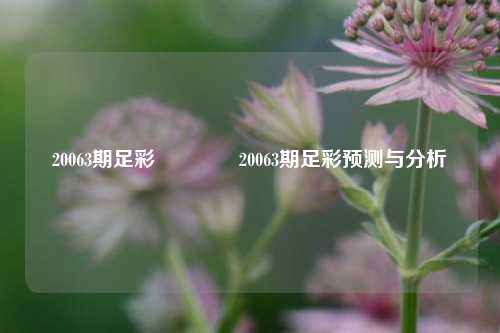 20063期足彩👈20063期足彩预测与分析