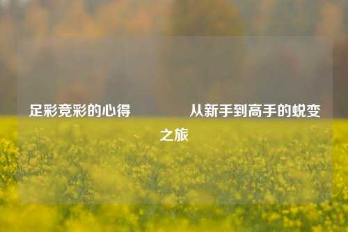 足彩竞彩的心得🥈从新手到高手的蜕变之旅