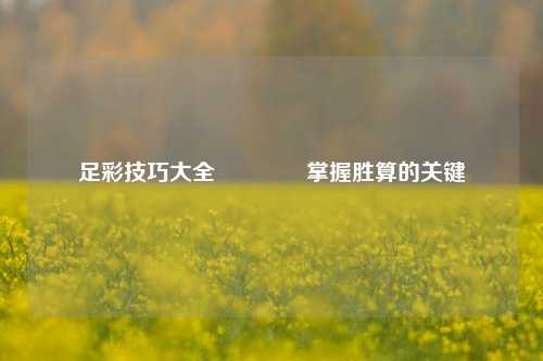 足彩技巧大全🌈掌握胜算的关键