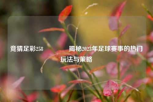 竞猜足彩258👈揭秘2023年足球赛事的热门玩法与策略