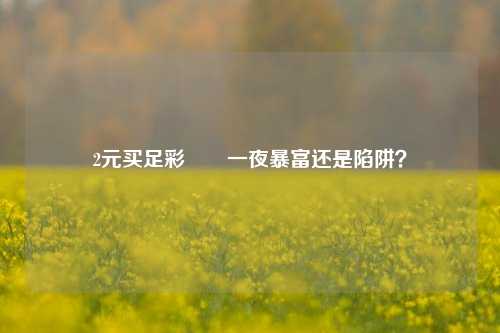 2元买足彩✌️一夜暴富还是陷阱？