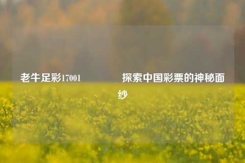 老牛足彩17001🌈探索中国彩票的神秘面纱