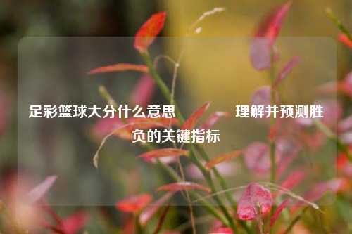 足彩篮球大分什么意思🌈理解并预测胜负的关键指标