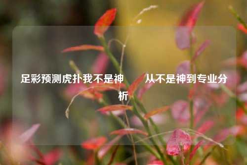 足彩预测虎扑我不是神✌️从不是神到专业分析