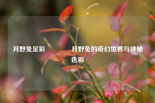 月野兔足彩🥇月野兔的奇幻世界与神秘色彩