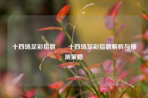 十四场足彩指数✌️十四场足彩指数解析与预测策略