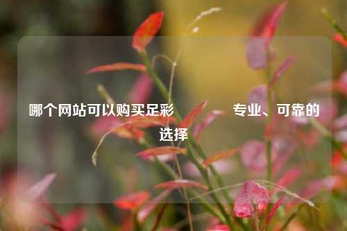 哪个网站可以购买足彩🥇专业、可靠的选择