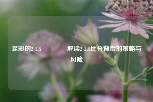 足彩的2 2.5🥈解读2 2.5比分背后的策略与风险