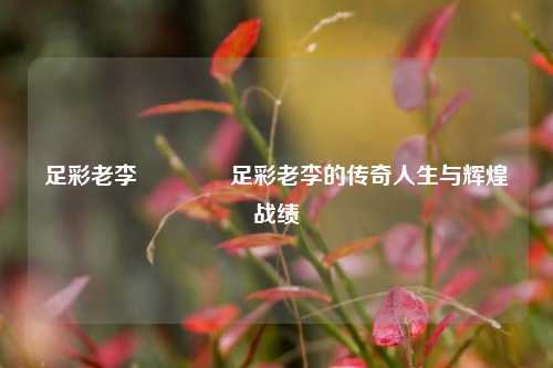 足彩老李🥈足彩老李的传奇人生与辉煌战绩