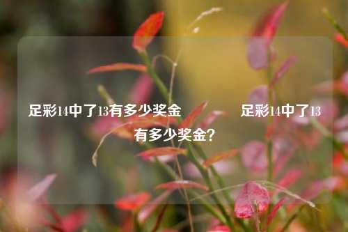 足彩14中了13有多少奖金👉足彩14中了13有多少奖金？