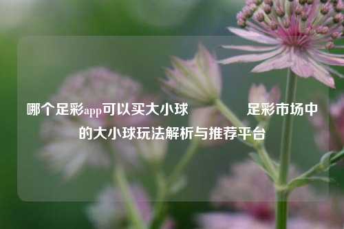 哪个足彩app可以买大小球👍足彩市场中的大小球玩法解析与推荐平台