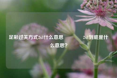 足彩过关方式2x1什么意思🏆2x1到底是什么意思？