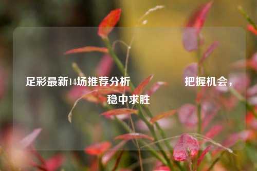 足彩最新14场推荐分析🎖️把握机会，稳中求胜