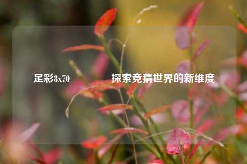 足彩8x70🏆探索竞猜世界的新维度