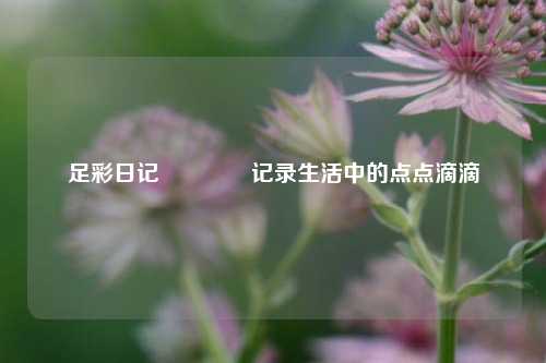 足彩日记🥈记录生活中的点点滴滴
