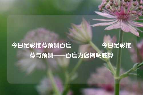 今日足彩推荐预测百度🎖️今日足彩推荐与预测——百度为您揭晓胜算