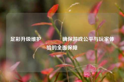 足彩升级维护🥇确保游戏公平与玩家体验的全面保障