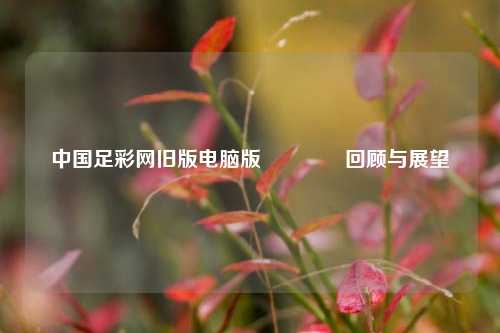 中国足彩网旧版电脑版🏆回顾与展望