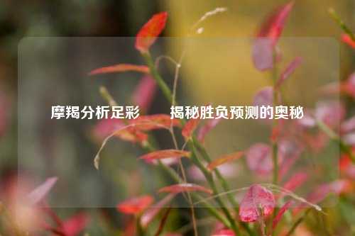 摩羯分析足彩✌️揭秘胜负预测的奥秘