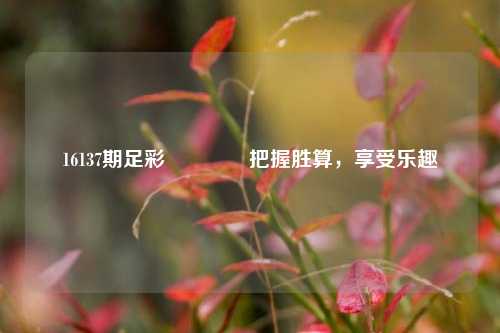16137期足彩🌈把握胜算，享受乐趣