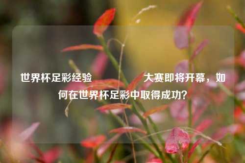 世界杯足彩经验🎖️大赛即将开幕，如何在世界杯足彩中取得成功？