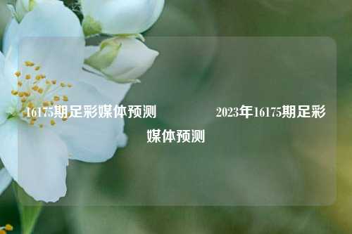 16175期足彩媒体预测🥈2023年16175期足彩媒体预测