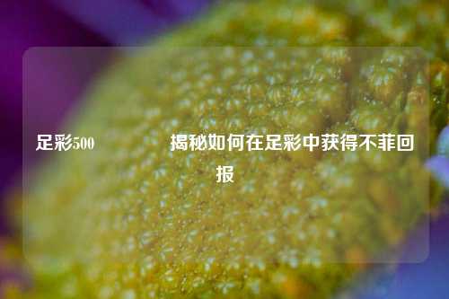 足彩500👍揭秘如何在足彩中获得不菲回报