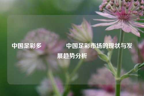 中国足彩多🏅中国足彩市场的现状与发展趋势分析