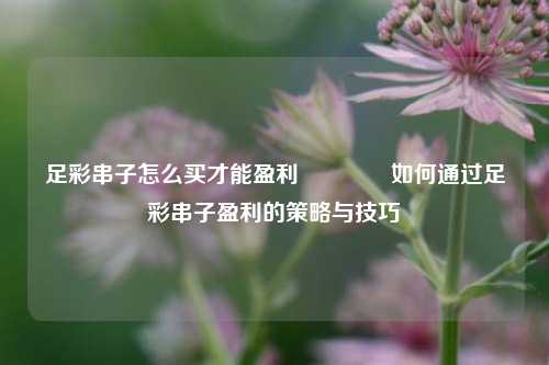 足彩串子怎么买才能盈利🌈如何通过足彩串子盈利的策略与技巧
