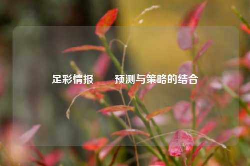 足彩情报✌️预测与策略的结合