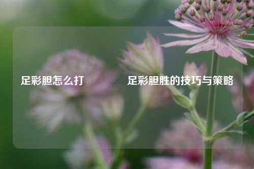 足彩胆怎么打👉足彩胆胜的技巧与策略