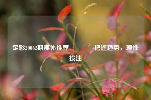 足彩20062期媒体推荐🥈把握趋势，理性投注