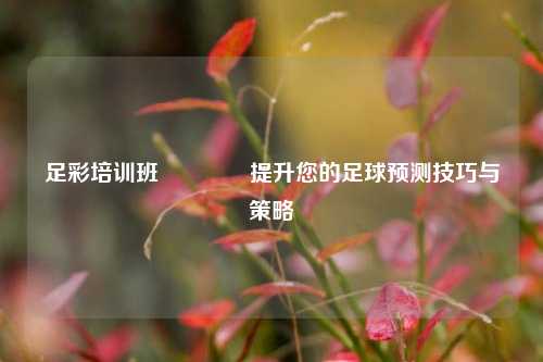 足彩培训班🥉提升您的足球预测技巧与策略