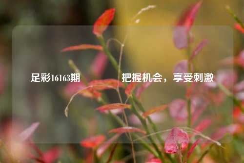 足彩16163期👍把握机会，享受刺激
