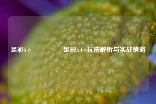 足彩5 6🎖️足彩5+6玩法解析与实战策略