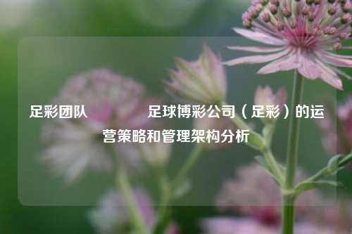 足彩团队🏅足球博彩公司（足彩）的运营策略和管理架构分析