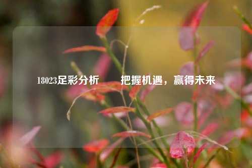 18023足彩分析✌️把握机遇，赢得未来