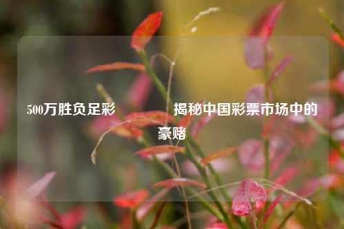 500万胜负足彩🌈揭秘中国彩票市场中的豪赌