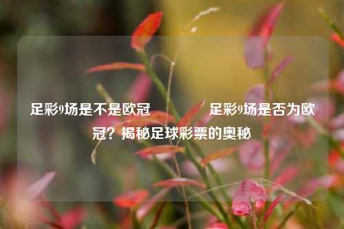 足彩9场是不是欧冠🌈足彩9场是否为欧冠？揭秘足球彩票的奥秘