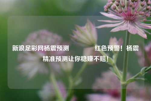 新浪足彩网杨震预测🥈红色预警！杨震精准预测让你稳赚不赔！