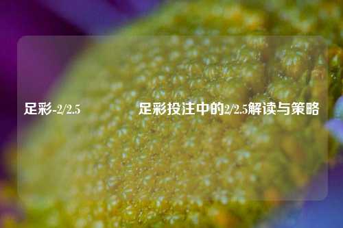 足彩-2/2.5🥉足彩投注中的2/2.5解读与策略