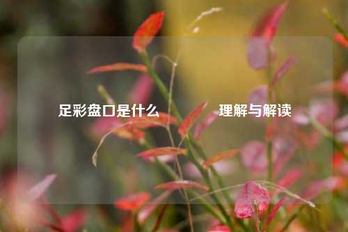 足彩盘口是什么🌈理解与解读